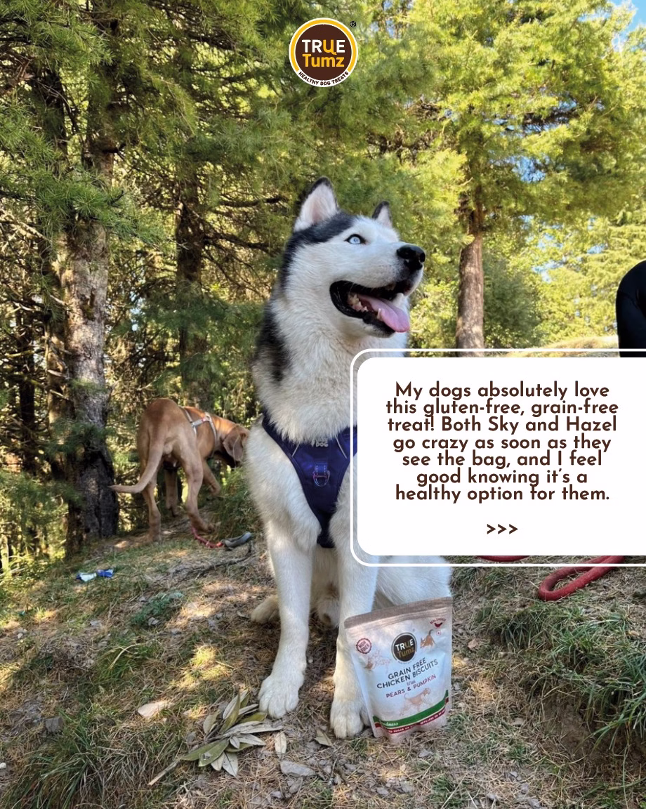 Sky and Hazel Review - 1st Page